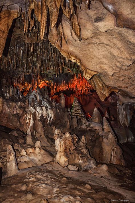 Exploring Florida Caverns Photograph By Debra Forand Pixels