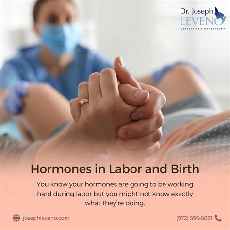 Hormones In Labor And Birth Dr Joseph Leveno