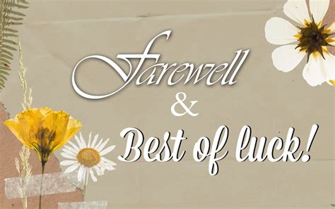 250+ Best Farewell Messages For Colleagues