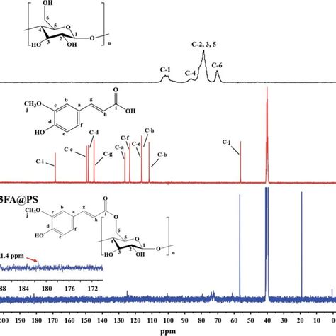 Solid State 13 C CP MAS NMR Spectra Of PS A FA B And Porous Starch