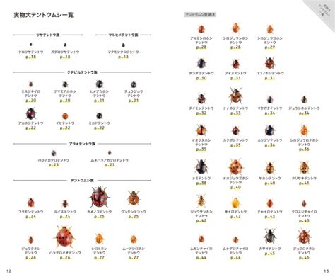 上 てんとう虫 模様の数 108996-てんとう虫 模様の数