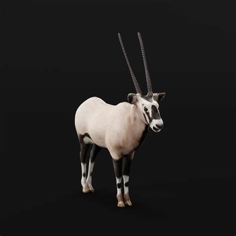 Gemsbok Oryx Antelope - FlippedNormals