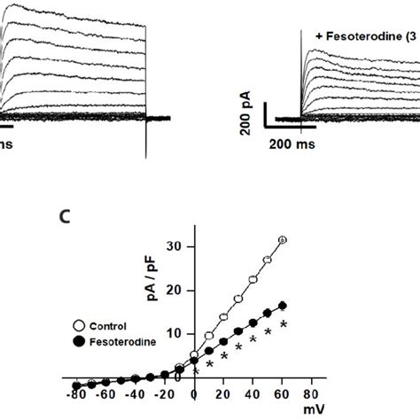 Effects Of Fesoterodine On Vascular Voltage Dependent K Kv Currents