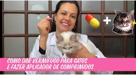 Como Dar Verm Fugo Para Gatos T Cnica Do Burrito E Como Fazer Um