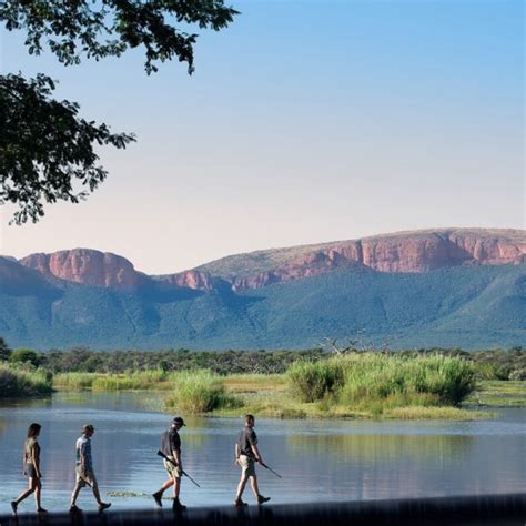 The Best Time To Visit South Africa On Safari | Art Of Safari