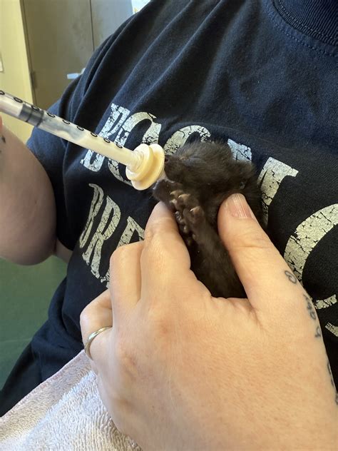 A look at the daily operations of lycoming spca 24