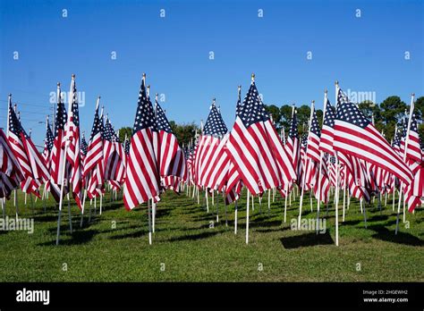 Red White And Blue Flags America Freedom Stars Stripes Color Hi Res