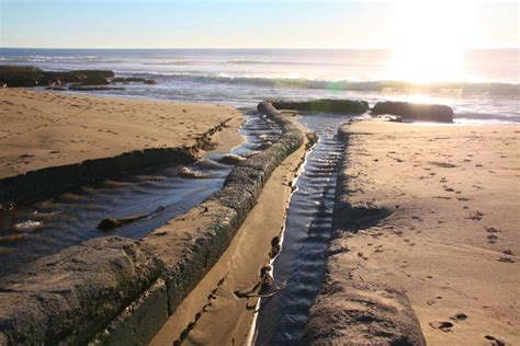 Davenport Landing Beach, Davenport, CA - California Beaches