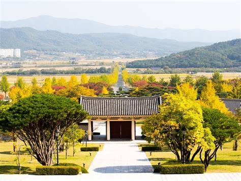 The Best Busan Autumn Foliage Spots Full Day Customized Tour Tours