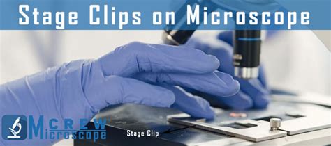 What do the Stage Clips do on a Microscope - Microscope Crew