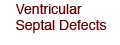 Congenital Defects Tutorial Congenital Heart Defects Atlas Of Human