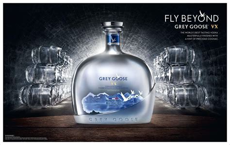 New Grey Goose Logo LogoDix