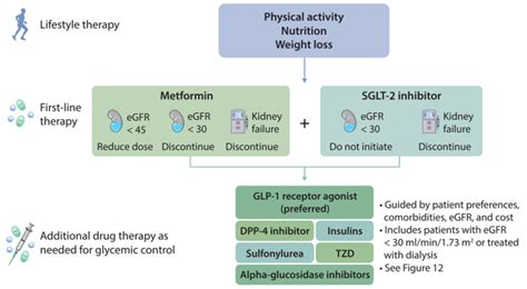 Figure 10 Antihyperglycemic Therapies In Patients With