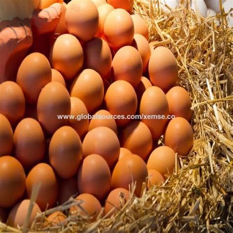 Canada Farm Fresh Chicken Table Eggs Brown And White On Global Sources