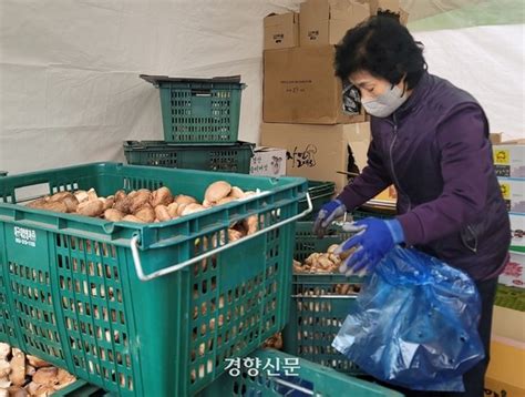 르포 대구농수산물도매시장 복구에만 2년 걸려상인 농산물 상하는 여름이 더 걱정 네이트 뉴스