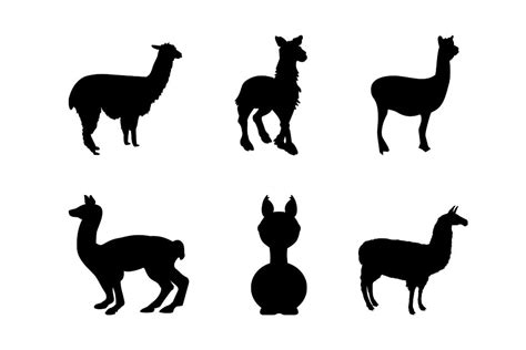 Llama Silhouette Masterbundles