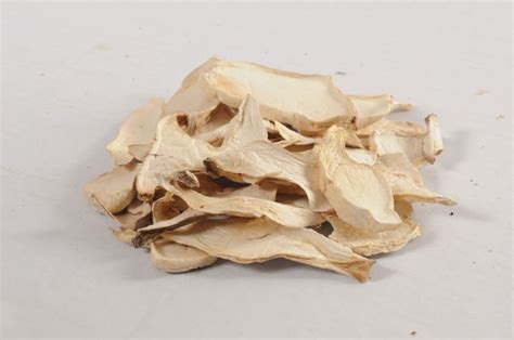 Pleurotus eryngii,China Zhuo price supplier - 21food