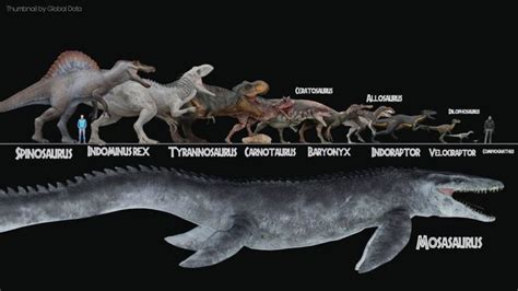 an image of dinosaurs that are in different stages of life on the same ...