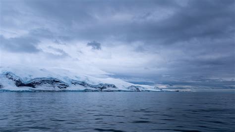 Balleny Islands Wonders Of The Southern Ocean On Behance