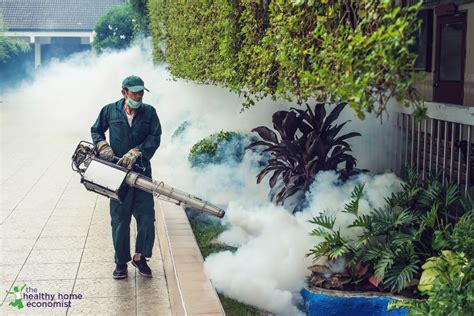 Staying Safe From Mosquito Spraying Healthy Home Economist