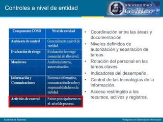 Auditor A De Sistemas Controles A Nivel De Entidad Y Seguridad F Sica