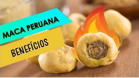 Maca Peruana O Melhor Suplemento Natural Para Sua Sa De