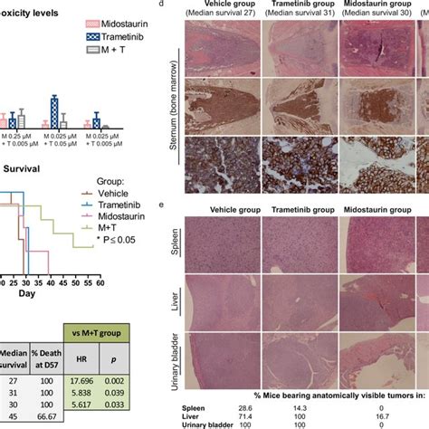 Midostaurin Plus Trametinib Exert Synergistic Cytotoxicity In Flt Wt