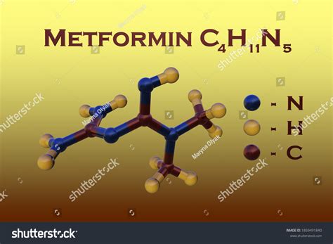 Structural Chemical Formula Molecular Model Metformin Stock Illustration 1859491840