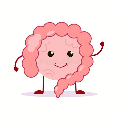 Strong Healthy Happy Intestine Gut Character Vector Flat Cartoon