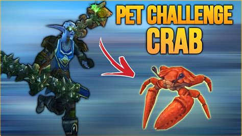 Crab Pet PvP Action Marksmanship Hunter WotLK Classic PvP 2023