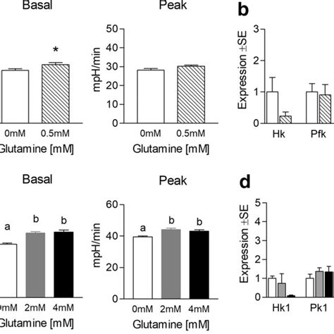 Effect Of Glutamine On Mitochondrial Metabolism And Biogenesis Related