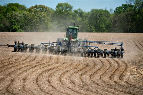 In Defense Of Corn The Worlds Most Important Food Crop The Washington Post