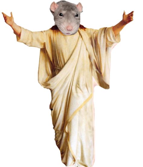 resus   random site  wiki fandom