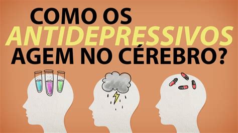 Como Os Antidepressivos Agem No C Rebro Drauzio Varella Drauzio