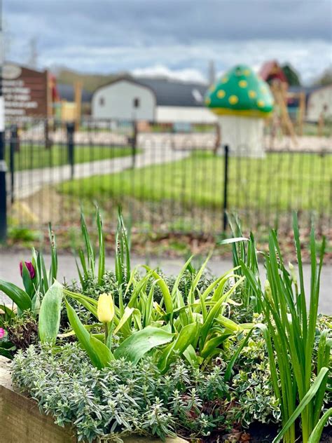 Spring Has Sprung At Wild Acre Village Sundown Adventureland