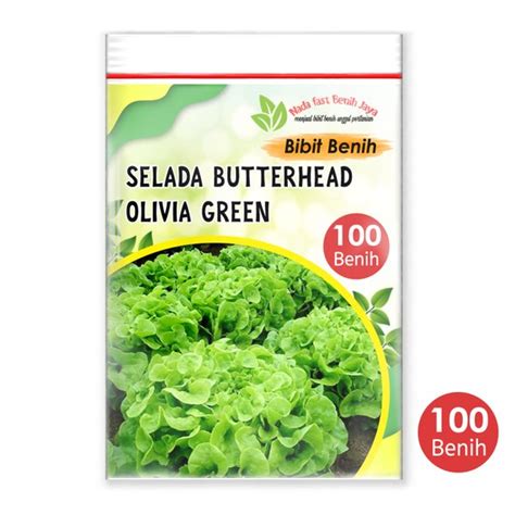 Jual Benih Selada Butterhead Olivia Green Biji Bibit Sayuran