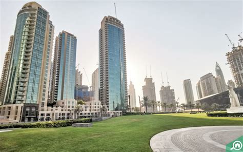 Pet-Friendly Parks in Dubai: Burj Park, Dogventure HQ & More - MyBayut