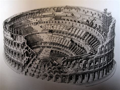 colosseum rome drawing 7