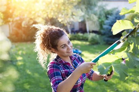 Tipps für sicheres Arbeiten im Garten