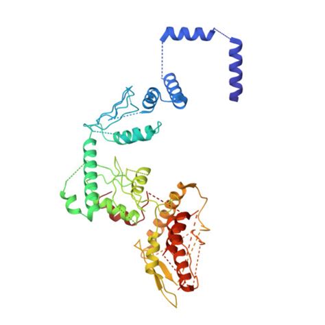 Rcsb Pdb W S Atomic Model Of The Mammalian Mediator Complex