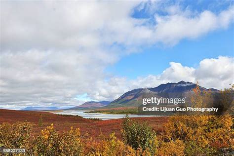 Susitna River Photos and Premium High Res Pictures - Getty Images