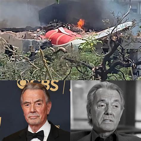 Dog - SAD NEWS: The world was sh0cked by a series of plane crashes in