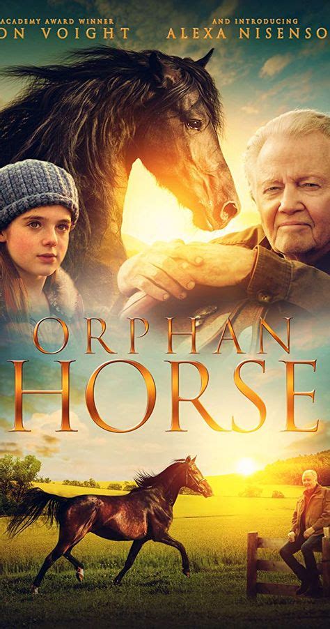 51 Horses Film Ideas In 2021 Horse Movies Hallmark Movies Horses