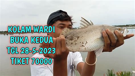 Hasil Kolam Perdana Wardi Tgl 21 Mei 2023 Di Seruwei YouTube