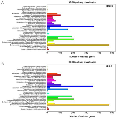 Complete Genome Sequences Of Two Enterococcus Faecium Strains And