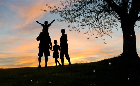 El Sentimiento De Pertenencia En La Familia Camino Al Sol