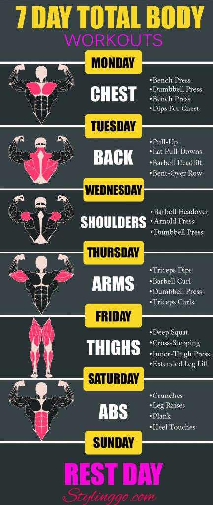 7 Day Full Body Workout Plan - Stylinggo