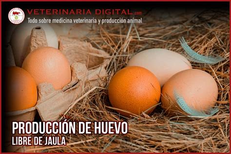 Calidad Interna Del Huevo Veterinaria Digital Avicultura