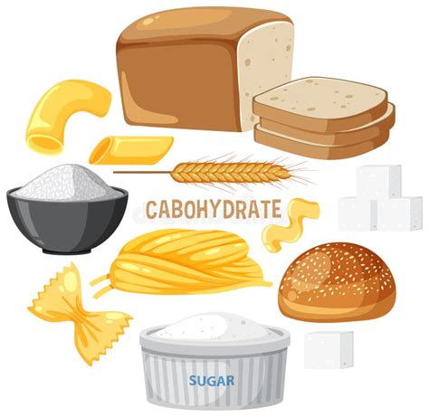 Variedad De Alimentos De Carbohidratos Ilustraci N Del Vector