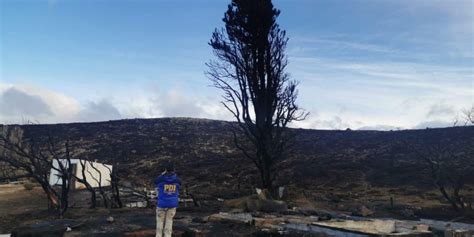 Pdi Y Fiscal A Indagan El Origen Del Incendio En Parque Nacional